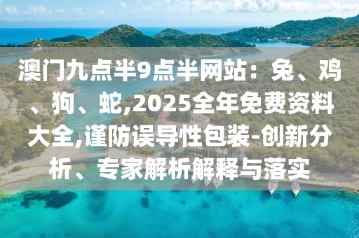 澳門九點(diǎn)半9點(diǎn)半網(wǎng)站：兔、雞、狗、蛇,2025全年免費(fèi)資料大全,謹(jǐn)防誤導(dǎo)性包裝-創(chuàng)新分析、專家解析解釋與落實(shí)